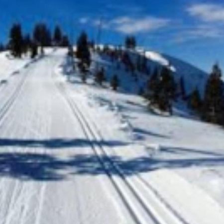 Whiskey Springs By Avantstay Classic Cabin Near Tahoe Donner Ski Area Truckee Exterior photo